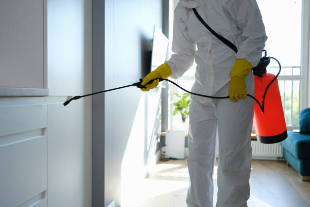Best Mold Testing  in Beaverton, MI