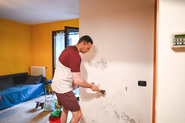 Mold Removal and Inspection in Beaverton, MI