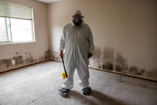 Best Mold Remediation  in Beaverton, MI